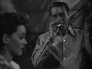 now voyager 3.jpg